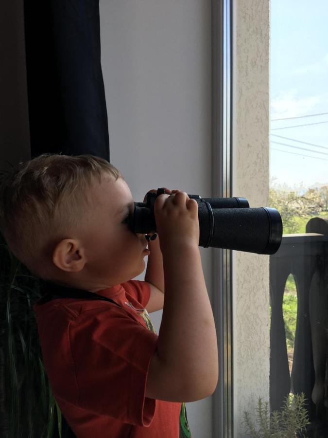 Sarnia Polana Villa Kostrzyca Ngoại thất bức ảnh