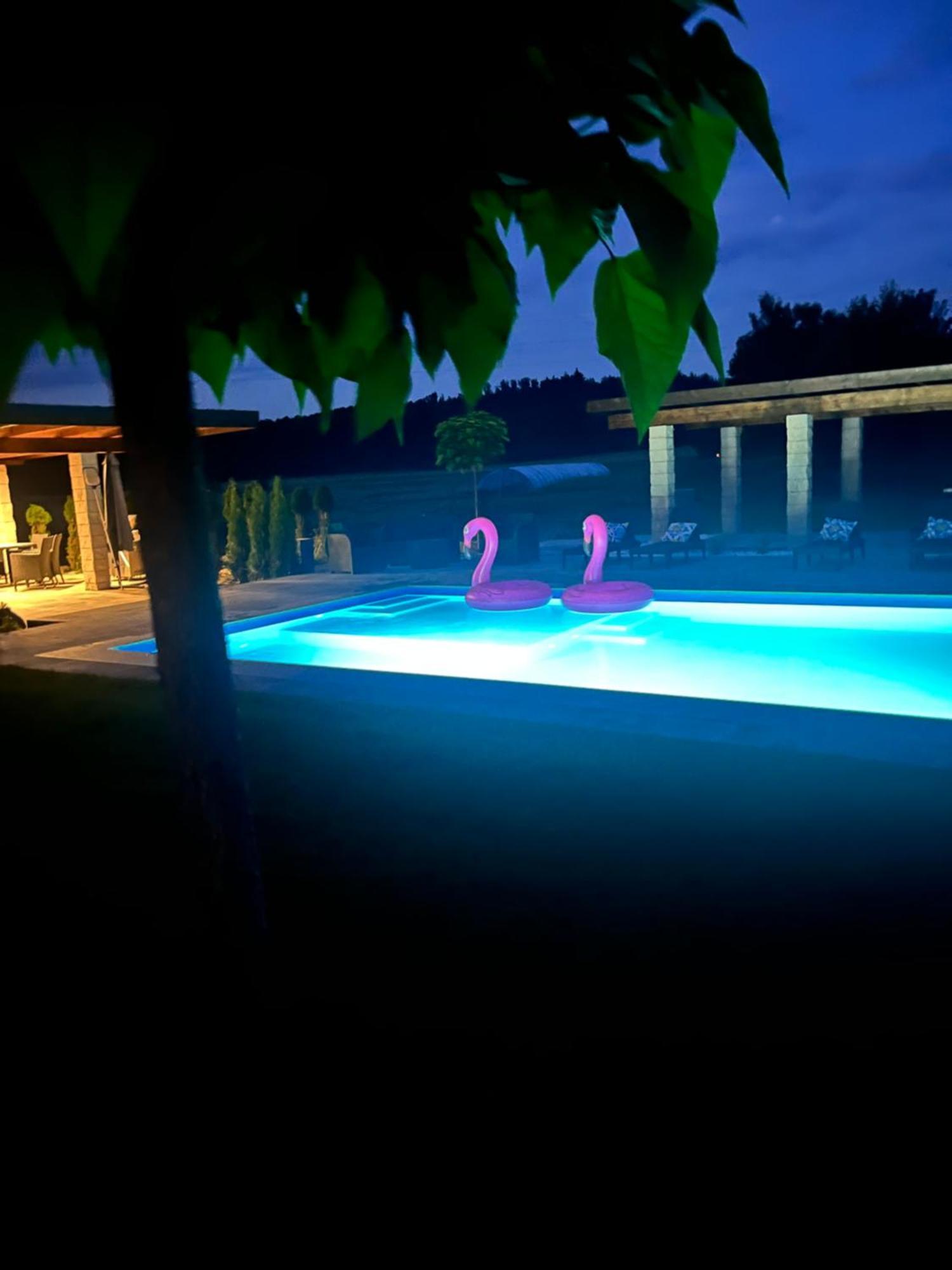 Sarnia Polana Villa Kostrzyca Ngoại thất bức ảnh