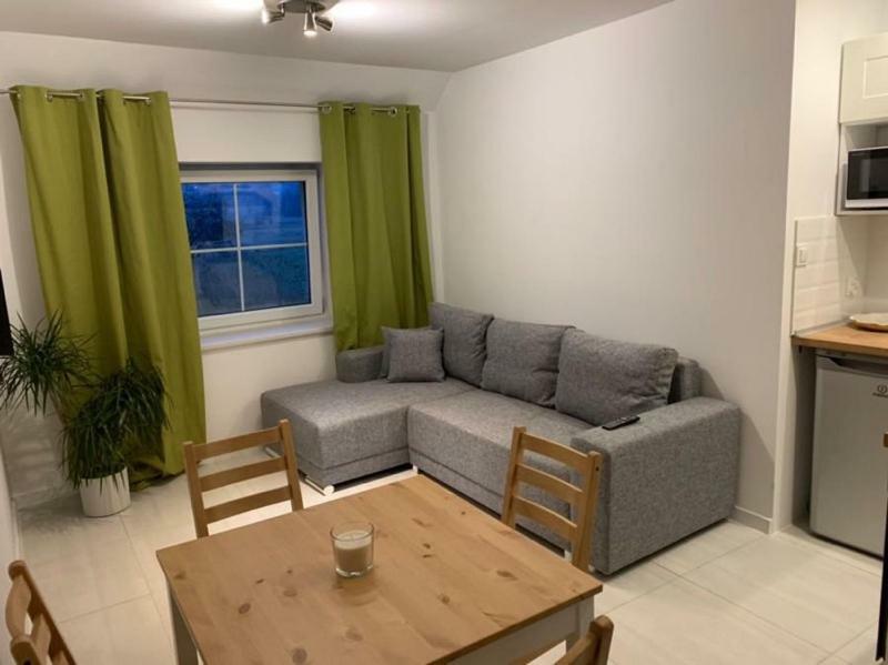 Sarnia Polana Villa Kostrzyca Ngoại thất bức ảnh